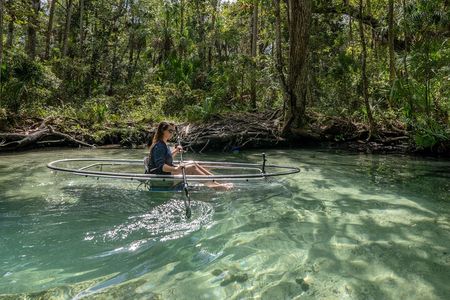 Chassahowitzka River Clear Kayak Springs & Manatee Tours 