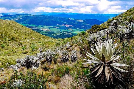 Explore Chingaza Natural Park: A Scenic Adventure from Bogotá