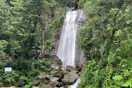 USDA El Yunque National Forest and Luquillo Beach Tour