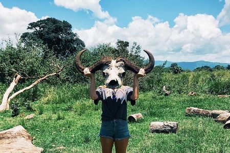 3-Day Tarangire, Lake Manyara and Ngorongoro