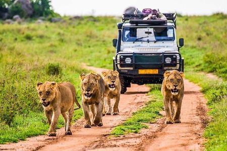 Outstanding day trip to Tarangire National Park