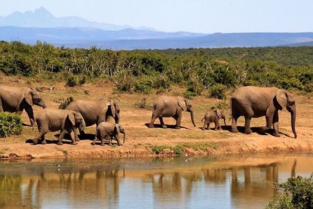 4 Days - Lake Manyara, Serengeti and Ngorongoro Crater