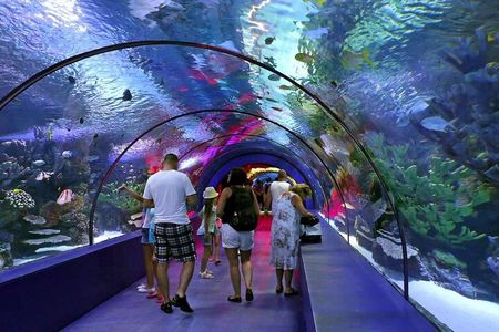 Antalya: Aquarium, Wax Museum & Combo Package Options