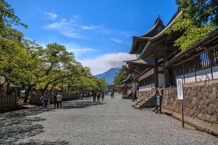 Private guided tour: Mt. Aso volcano, grasslands, Aso Shrine