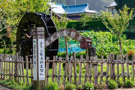Enjoy a walk, lunch, and tea time at the 2000 years old Teno Farm Village.
