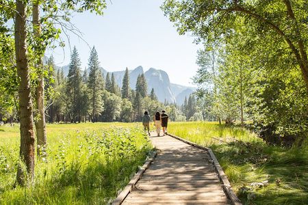 Yosemite Full Day Private Tour & Hike