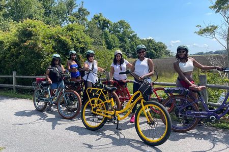 Hilton Head Guided Pedego Electric Bike Tour