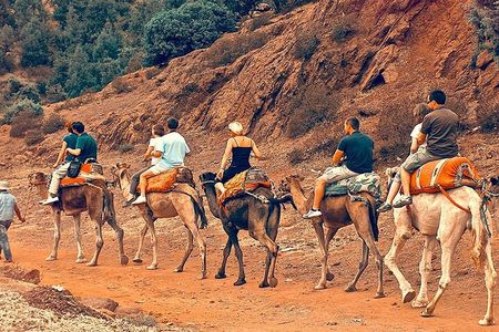 Atlas Mountains Day Trip from Marrakech and Three Valleys Guided Tour
