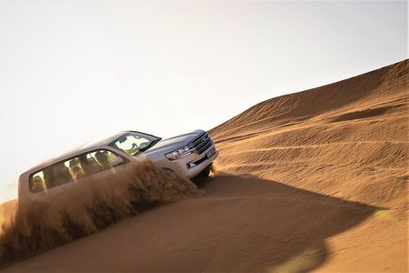Dubai Red Dunes with Sandboarding, Camel Ride, Falcon & VIP Camp