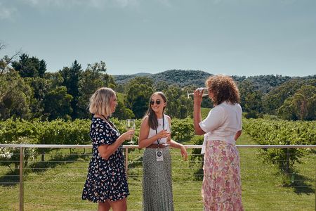 From Melbourne: Hop On Hop Off Mornington Peninsula