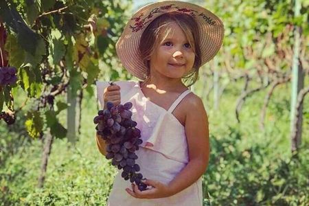 TASTE OF MONTENEGRO - Gastro Tour of Montenegrian Wine and food