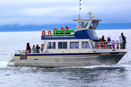 Victoria Whale Watching Cruise with Expert Naturalists