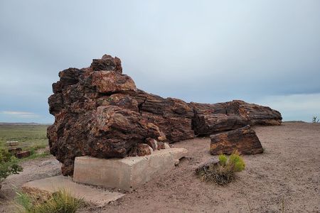 Sedona to Petrified Forest/Painted Desert Adventure PRIVATE TOUR!