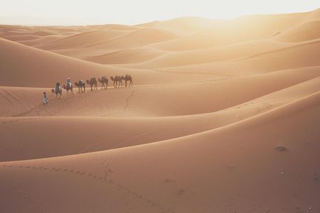 The Ancient Caravan Routes ∴ Highlights of Morocco 10 Day Journey from Marrakech
