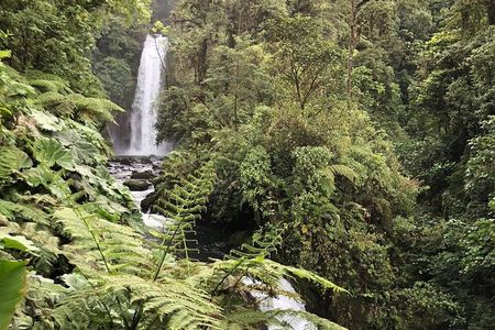 Poás Volcano, Café Doka and Peace Falls Day Tour