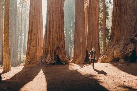 Sequoia Full Day Private Tour and Hike