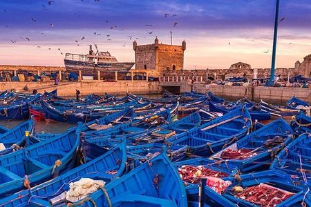 Full Day Tour To Essaouira from Marrakech