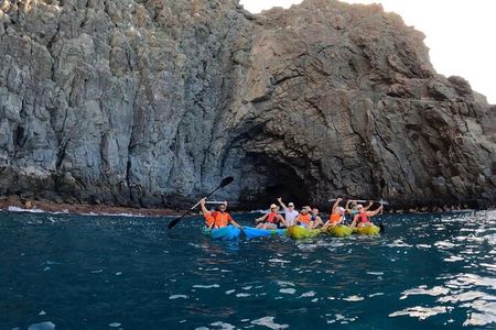 Guided Kayak Tour From Los Cristianos Beach Tenerife
