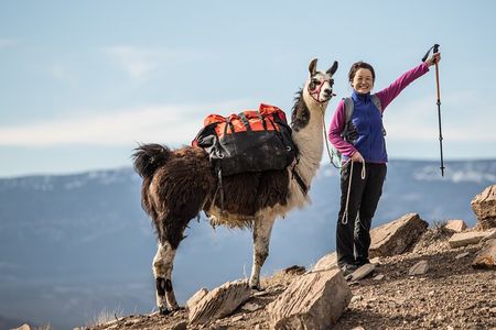 4-hour Llama Trek with Lunch in Scenic Capitol Reef
