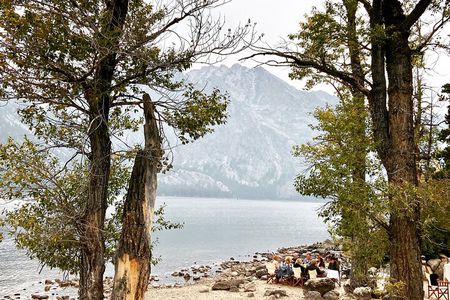 Private Sunset Wildlife Dinner Safari From Jackson WY