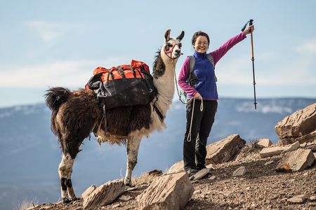 2-Hour Llama Hike