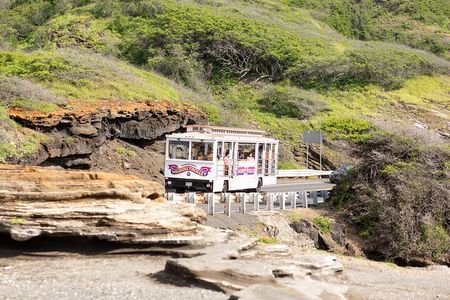 Waikiki Trolley Blue Line Coastline