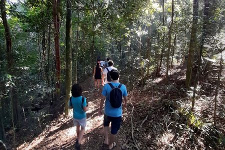 Tijuca National Park and all its wonders