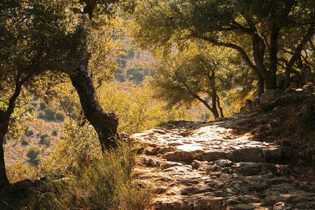 Road-trip to Lasithi: Vidiani, Krasi, Olive Mill Farm, Lasinthos
