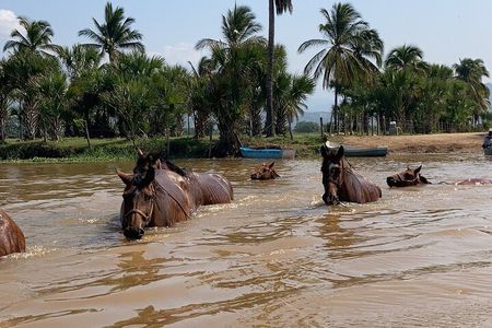 Sunset by horse (river and beach)