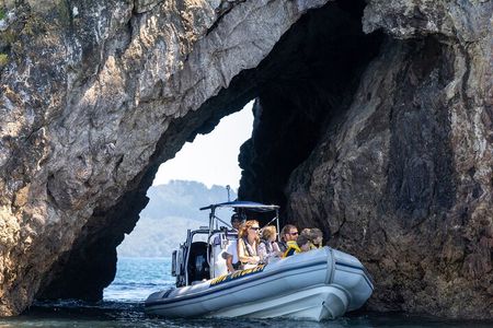 Whitianga: Cathedral Cove Thrilling Boat Tour, Caves & Snorkeling