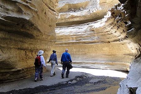Full day; Hells Gate National park & Lake Naivasha from Nairobi.