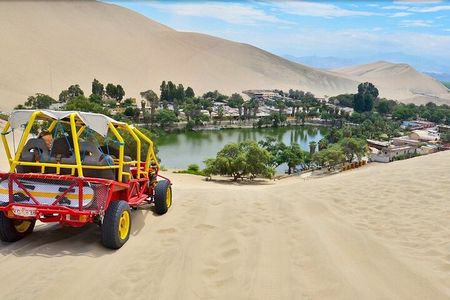 From Lima: All-Inclusive Day trip to Paracas & Huacachina Oasis