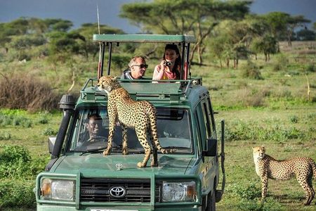 5 Days Tanzania Safari with Serengeti
