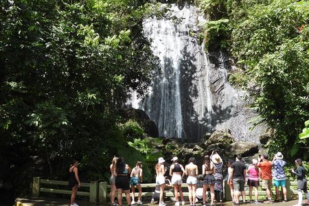 USDA El Yunque National Forest and Luquillo Beach Tour