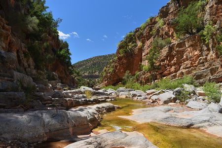 Paradise Valley and Camel Ride at Sunset Pass
