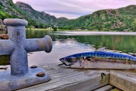 Inshore fishing in the Drangefjord