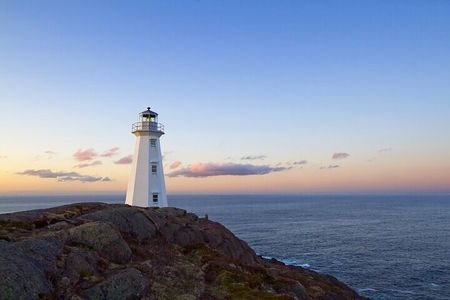 The best of St. John's walking tour