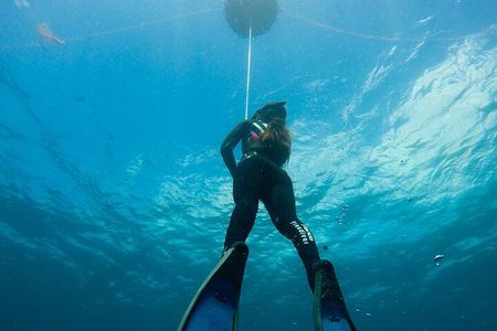 PADI Freediver Course in Barbados