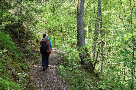 Private Full-Day Hiking Tour in Sigulda and Gauja National Park