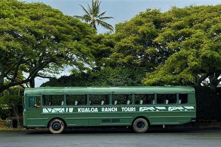 Kualoa Ranch: Movie Sites and Ranch Tour