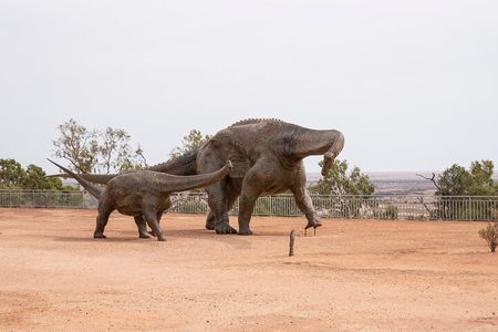 Winton Discovery Day Tour
