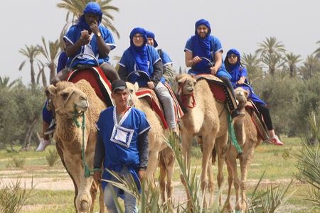 Camel Ride at Sunset in The Palm Grove of Marrakech