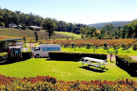 Bickley Valley Wine, Cider & Gin Tour - Premium Small Group Tour