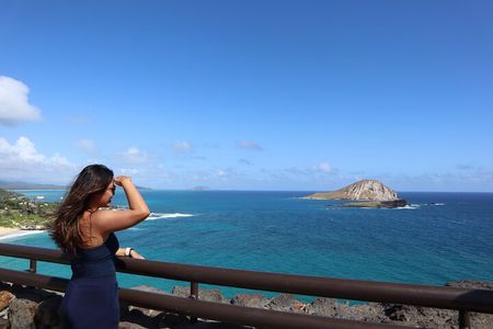 Island Tour with Snorkeling & Turtles