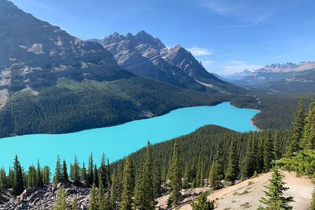 Lake Louise, Moraine Lake and the Icefields Parkway Full-Day Tour