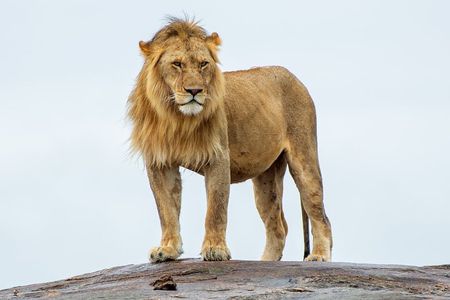 2-Day Tsavo East Private Tour