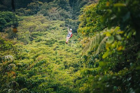 Selvatura Park Gold Package (Canopy & Hanging Bridges)