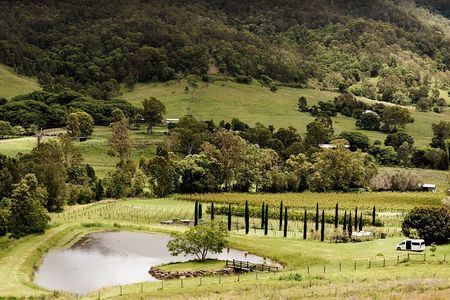 Mount Tamborine Winery Tour with Gourmet lunch from Gold Coast