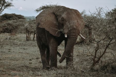 3-Day Private Tour of Tanzania with Pick Up