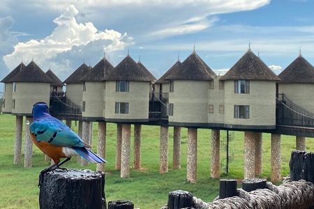 2-Day Private Tour Tsavo East and West from Diani Beach